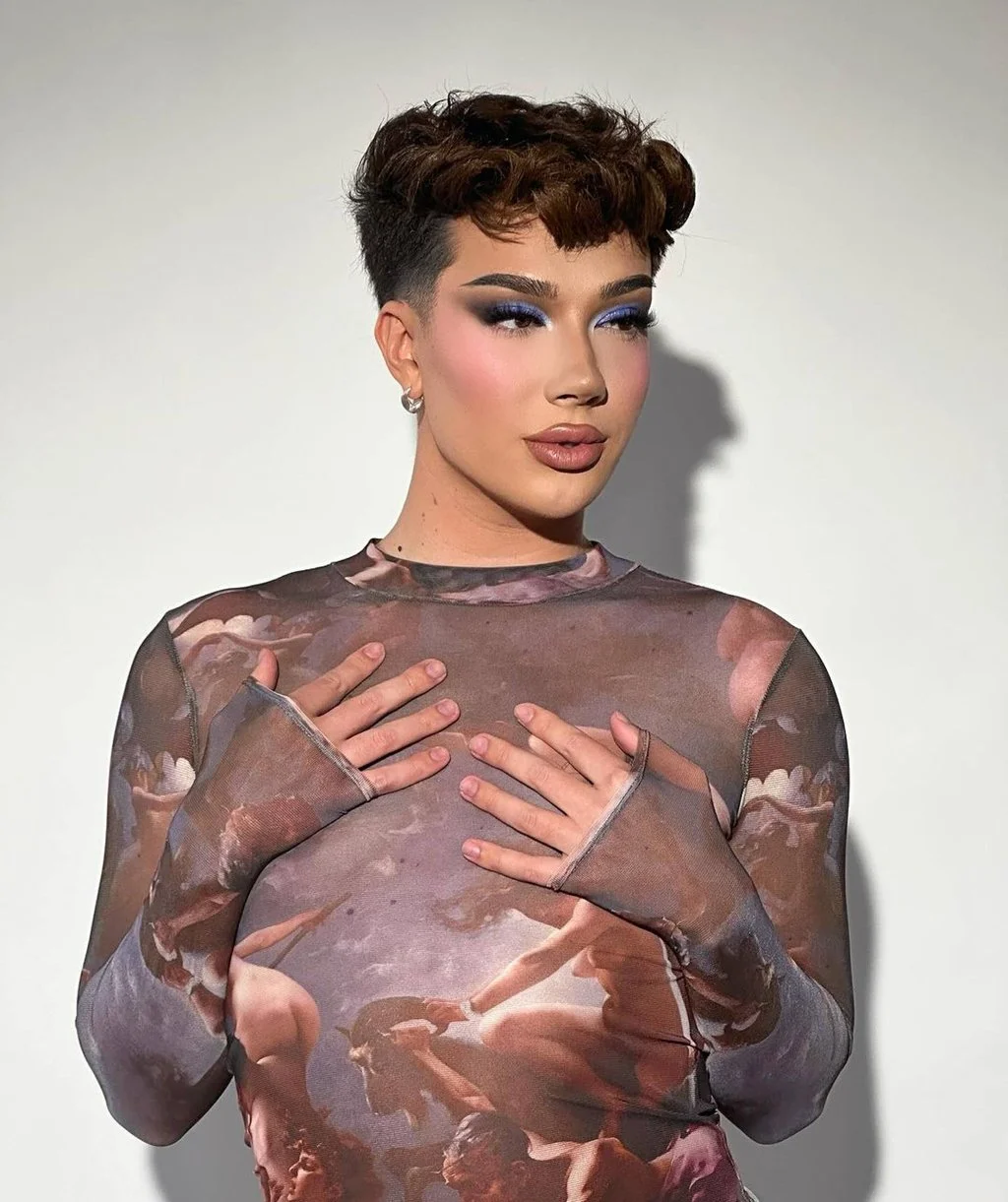 Is James Charles a Groomer? Behind the Viral Callout Billboard about the Influencer in LA - 4