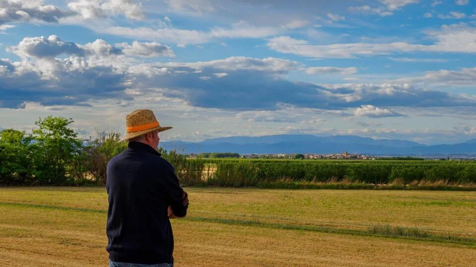 US farmers are rejecting multimillion-dollar datacenter bids for their land: ‘I’m not for sale’ - 4