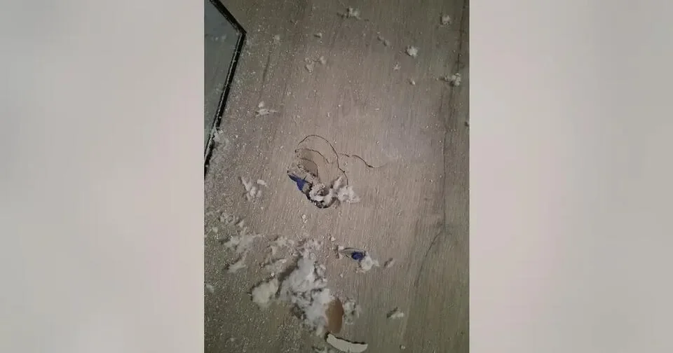 Suspected meteorite crashes into Houston woman's home amid citywide reports of 'boom'... - 3