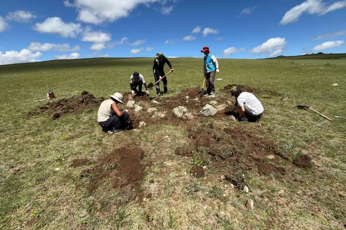New evidence challenges assumptions of mass feasting at ancient Mongolian burial mounds - 3