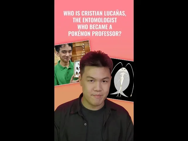 Philippines' 'Cockroach Lord' goes to bat for misunderstood bugs - 1