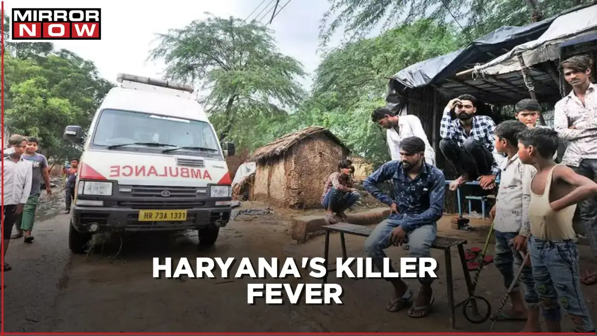 Health department team deployed in Haryana village after 4 deaths due to hepatitis B - 4