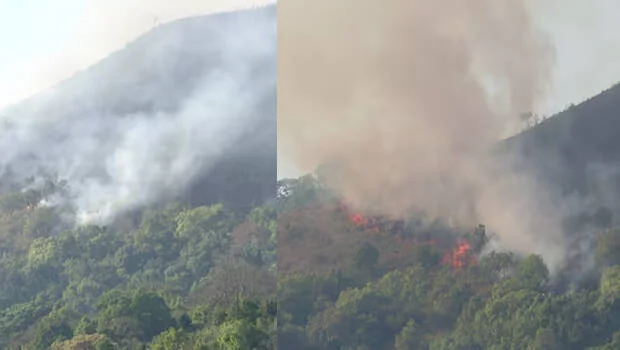 Forest fire rages unchecked in Konnakkad-Kommadi area of Kerala’s Kasaragod; efforts on to protect habitations - 3