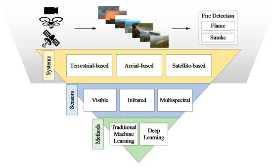 Early detection of forest fires critical for protecting biodiversity-rich habitats: study - 4