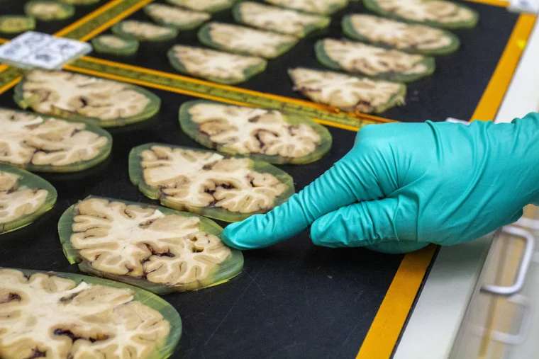 Trump Sought Vast Budget Cuts. Congress Granted Few. - 2