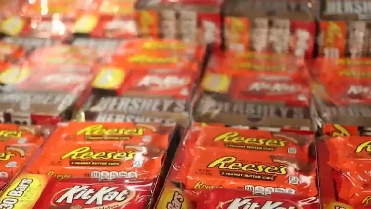 French Politician Charged With Glorifying Terrorism on Socials... - 2