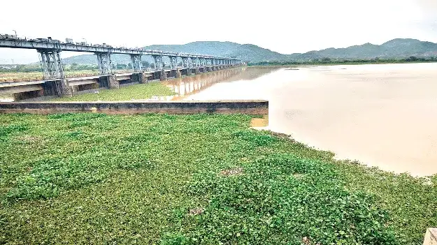 Government keen to complete Vamsadhara Lift Irrigation Scheme by April, says Srikakulam Collector - 3