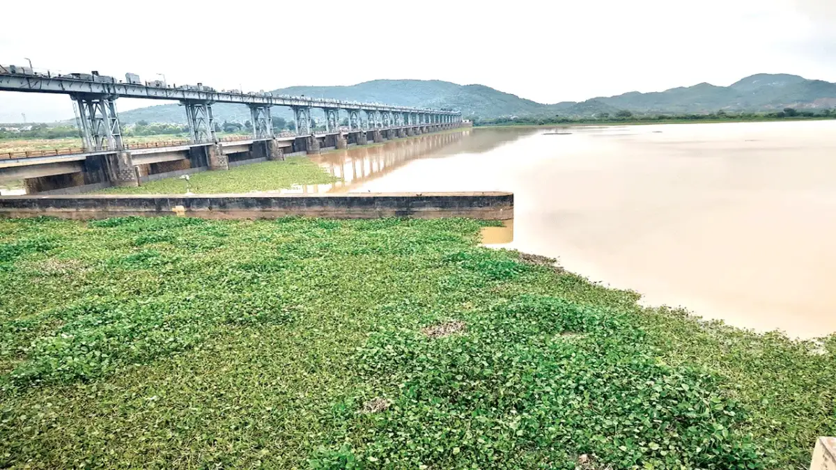 Government keen to complete Vamsadhara Lift Irrigation Scheme by April, says Srikakulam Collector - 2