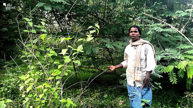 Tribals of Nagarahole call for continuing safari ban, condemn International Big Cat Alliance - 2