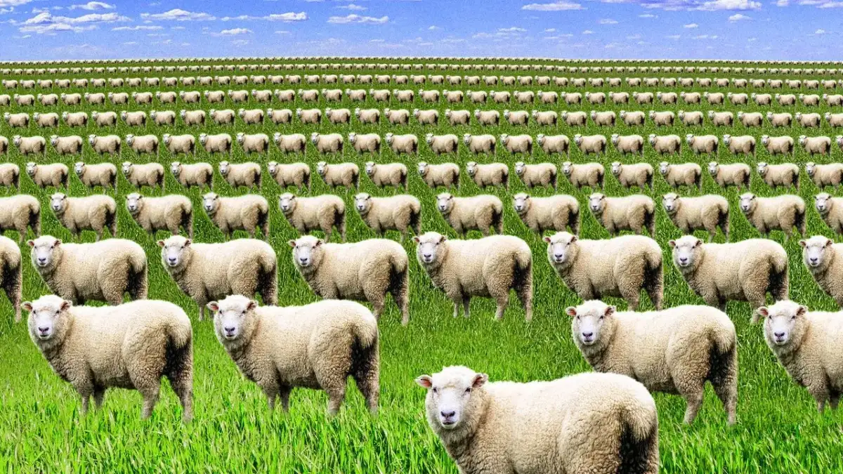 STUDY: Sleep Trackers -- Make Insomnia Worse! - 4