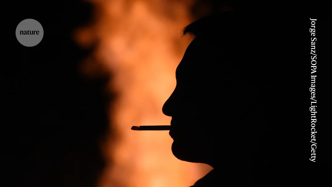 Seven million cancers a year are preventable, says report - 2