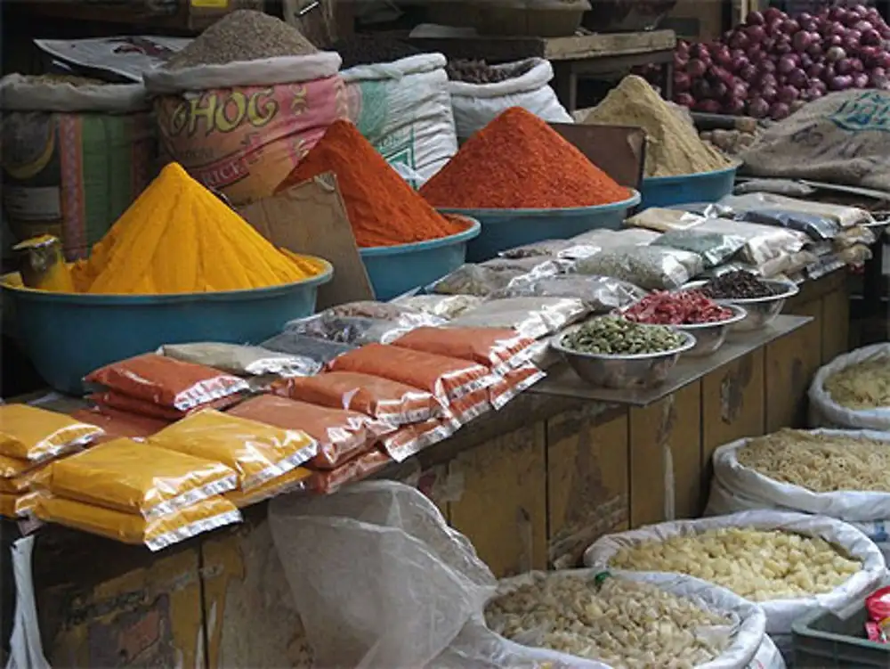 Delhi Holi Clash Death: Portions of Accused's House Demolished - 1