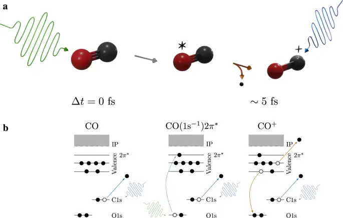 Chemical shifts help track molecules breaking apart in real time - 2