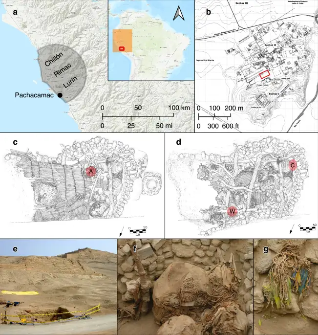Bug risk shuts fifth of cancer unit rooms in £1bn superhospital in six months... but Swinney STILL says QEUH is safe - 1