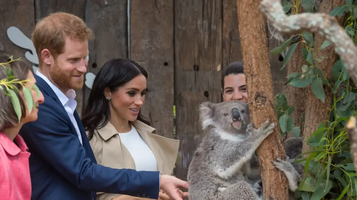 Why Meghan Markle and Prince Harry Are Headed to Australia? Sussexes Confirm Sydney, Melbourne Return - 2