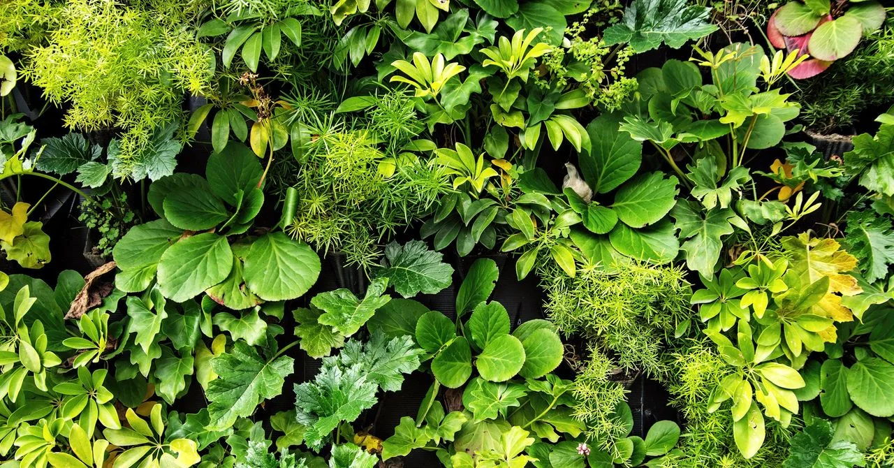 Office buzz: UK employers turn to beehives to boost workplace wellbeing - 2