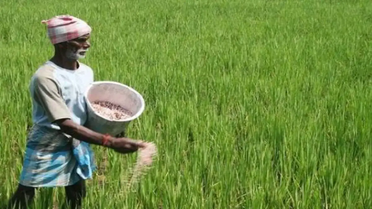 Letters to Sports: WBC brings joy back to All-Star-level play - 1