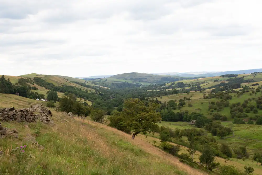 Wildlife trust buys land to create new reserve - 2
