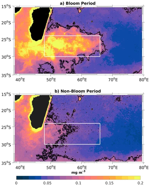 How tropical sun and breezes mix a toxic air along India’s southern coast - Research Matters - 2