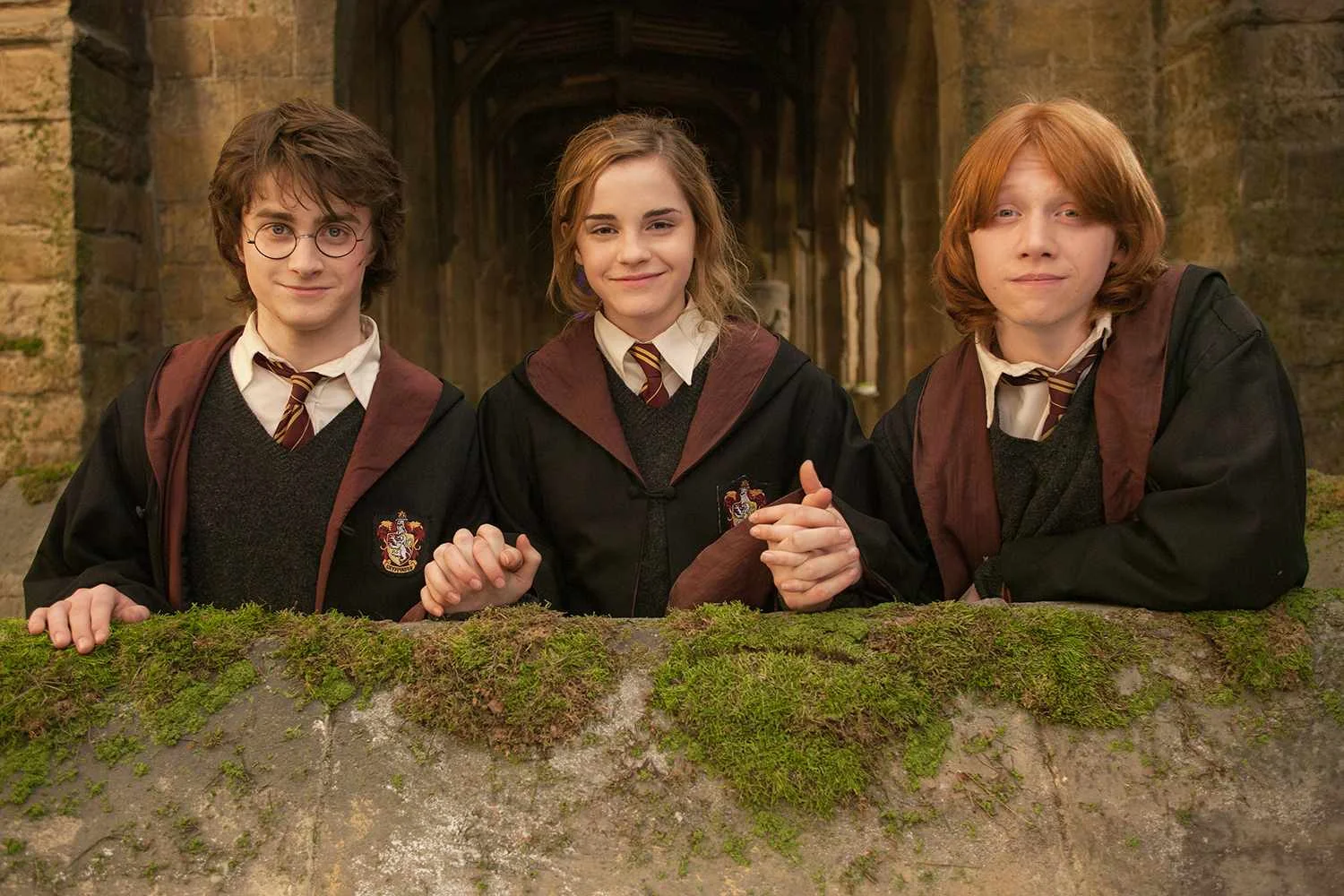 Daniel Radcliffe, Emma Watson and Rupert Grint were pitched a The Wizard of Oz remake - 1