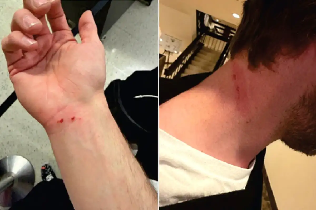 Rapper Gucci Mane 'robbed and kidnapped' by other rappers... - 1