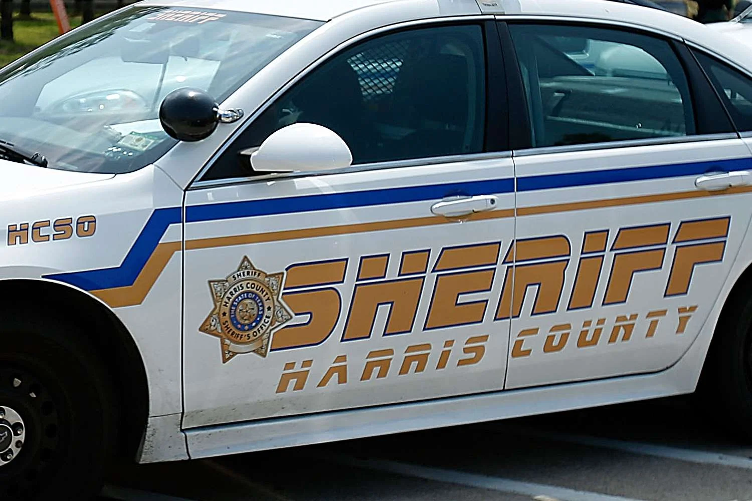 Watch: Viral Video of Woman's Off the Rails Remarks to Deputy - Best Part Was the Sheriff's Response - 1