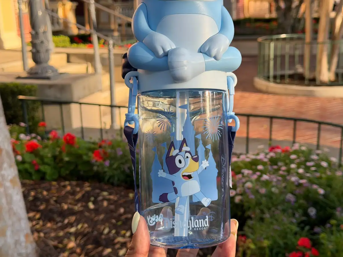Bluey and 'Bluey's Best Day Ever!' Have Arrived at Disneyland - Here's What You Need to Know - 4