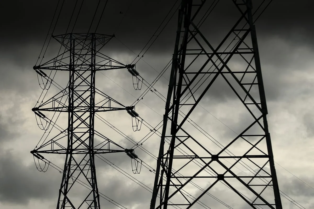 Ruling out nuclear power is 'crazy', new Liberal deputy says - 4