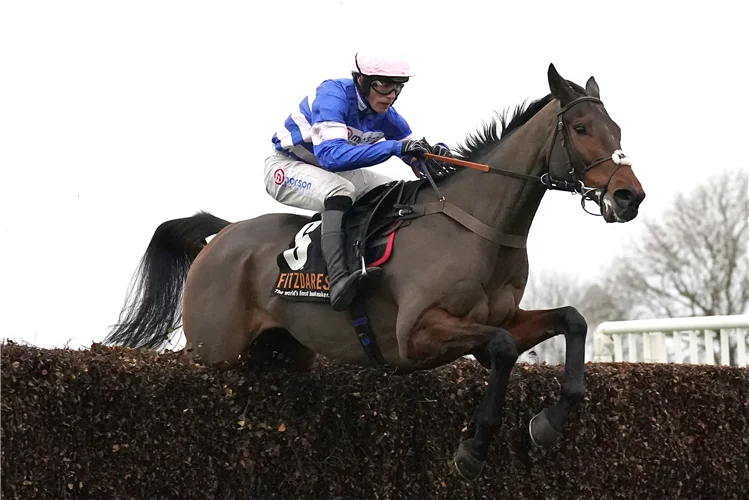 Pic D'orhy fancied to upstage Jonbon to claim Ascot three-peat - 2