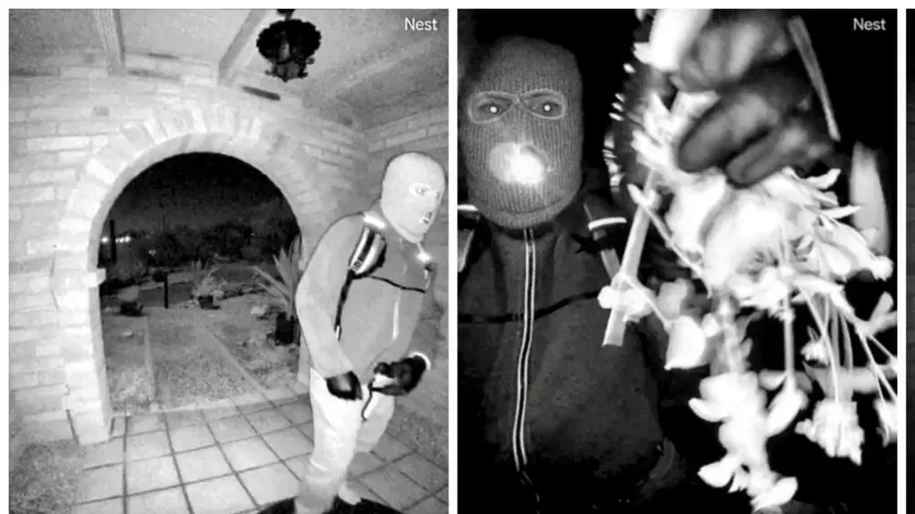 FBI analysing recovered glove that appears to match those worn in Guthrie suspect video - 2