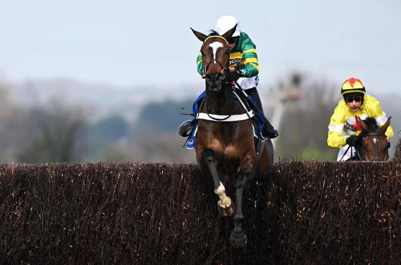 Pic D'orhy fancied to upstage Jonbon to claim Ascot three-peat - 1