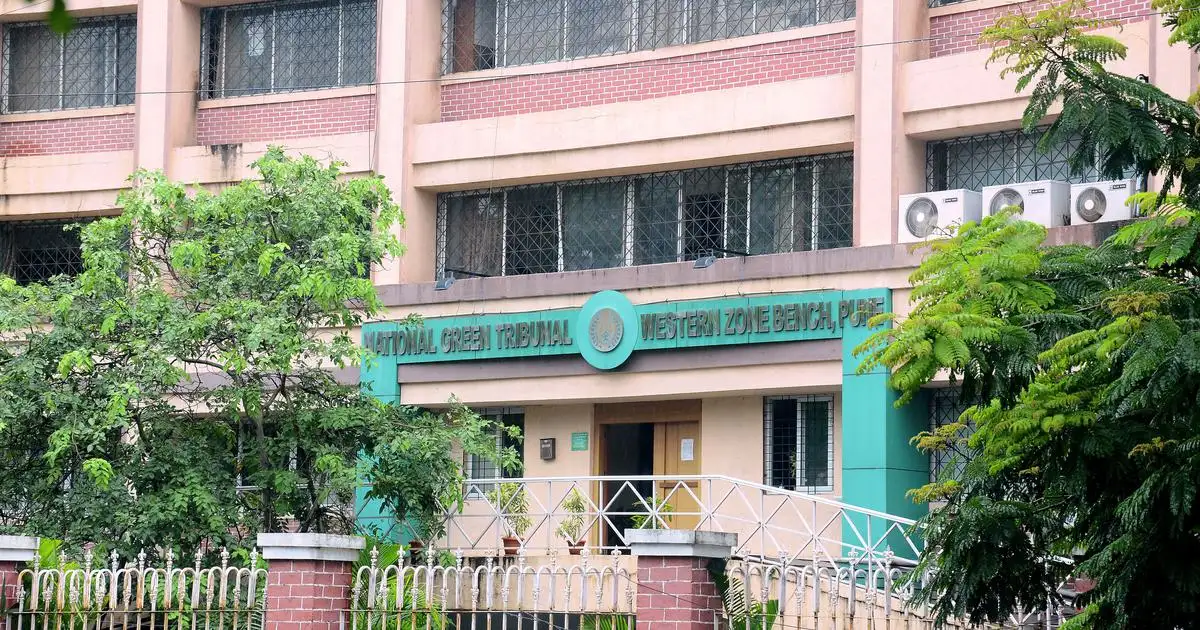 Kumbh Mela: NGT stays tree-felling in Nashik till Apr 28; Mayor defends move - 3