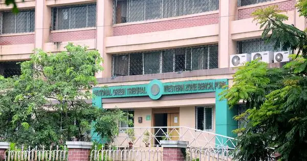 Kumbh Mela: NGT stays tree-felling in Nashik till Apr 28; Mayor defends move - 4