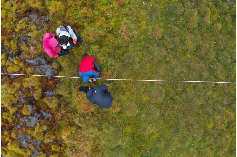 Arctic peatlands are expanding as temperatures continue to rise, new research confirms - 4
