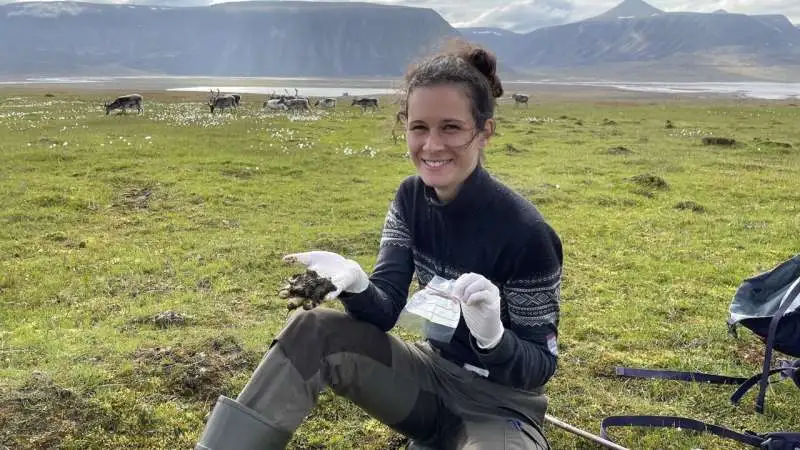 High levels of forever chemicals found in Svalbard reindeer - 1