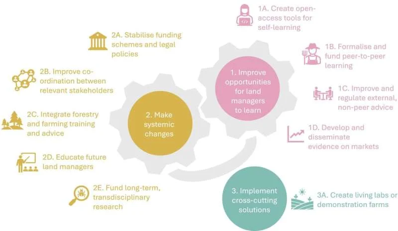 How to make farms tree-friendly and boost food production - 2