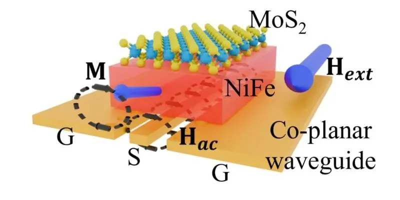 Large area MoS₂ reduces energy loss in magnetic memory films - 1