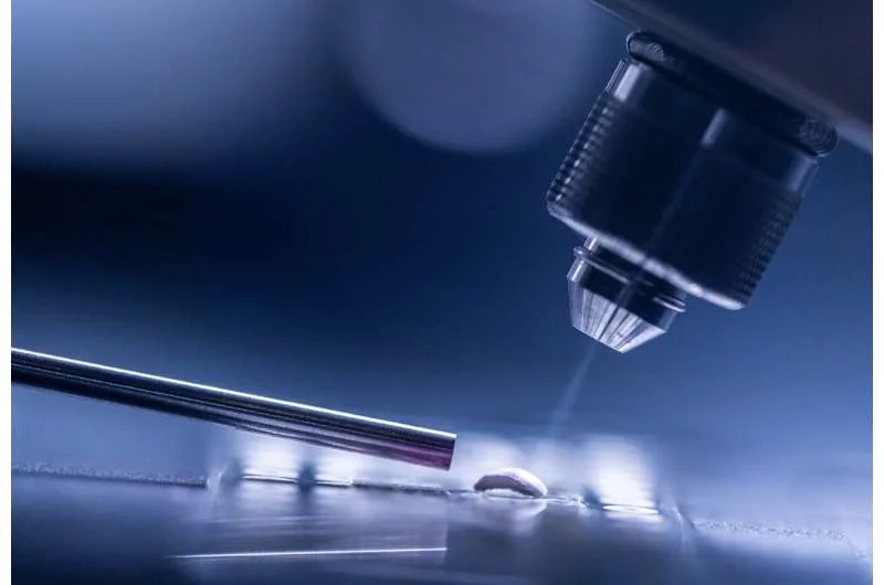 Five-minute test spots PFAS down to parts-per-trillion - 1