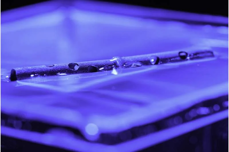 These Unsinkable Tubes Could Help Harvest Energy From the Ocean - 3