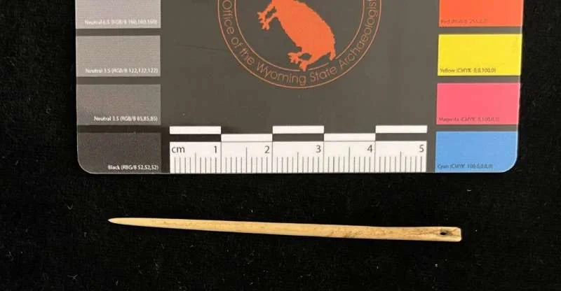 Coimbatore’s e-learning initiative on marine life - 1