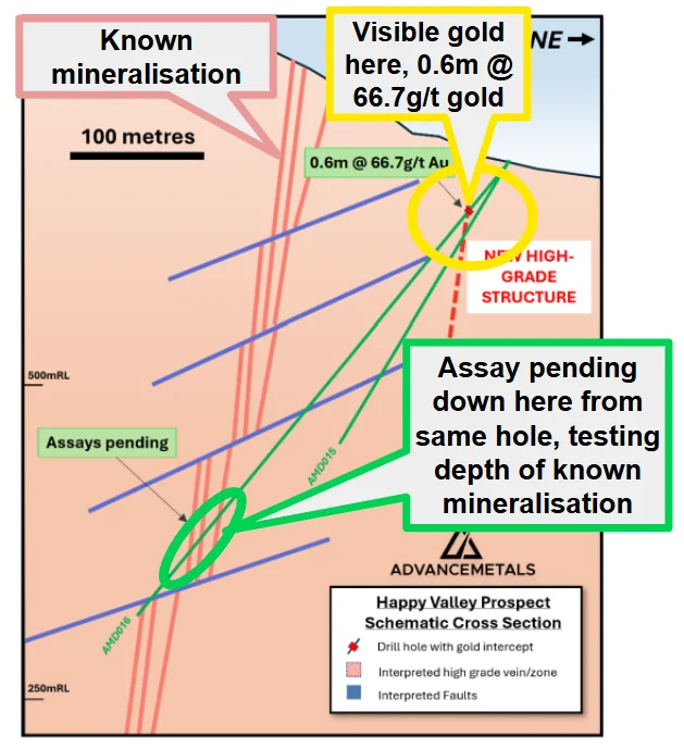 Old Mexican core samples spark new bulk silver play for Advance - 3
