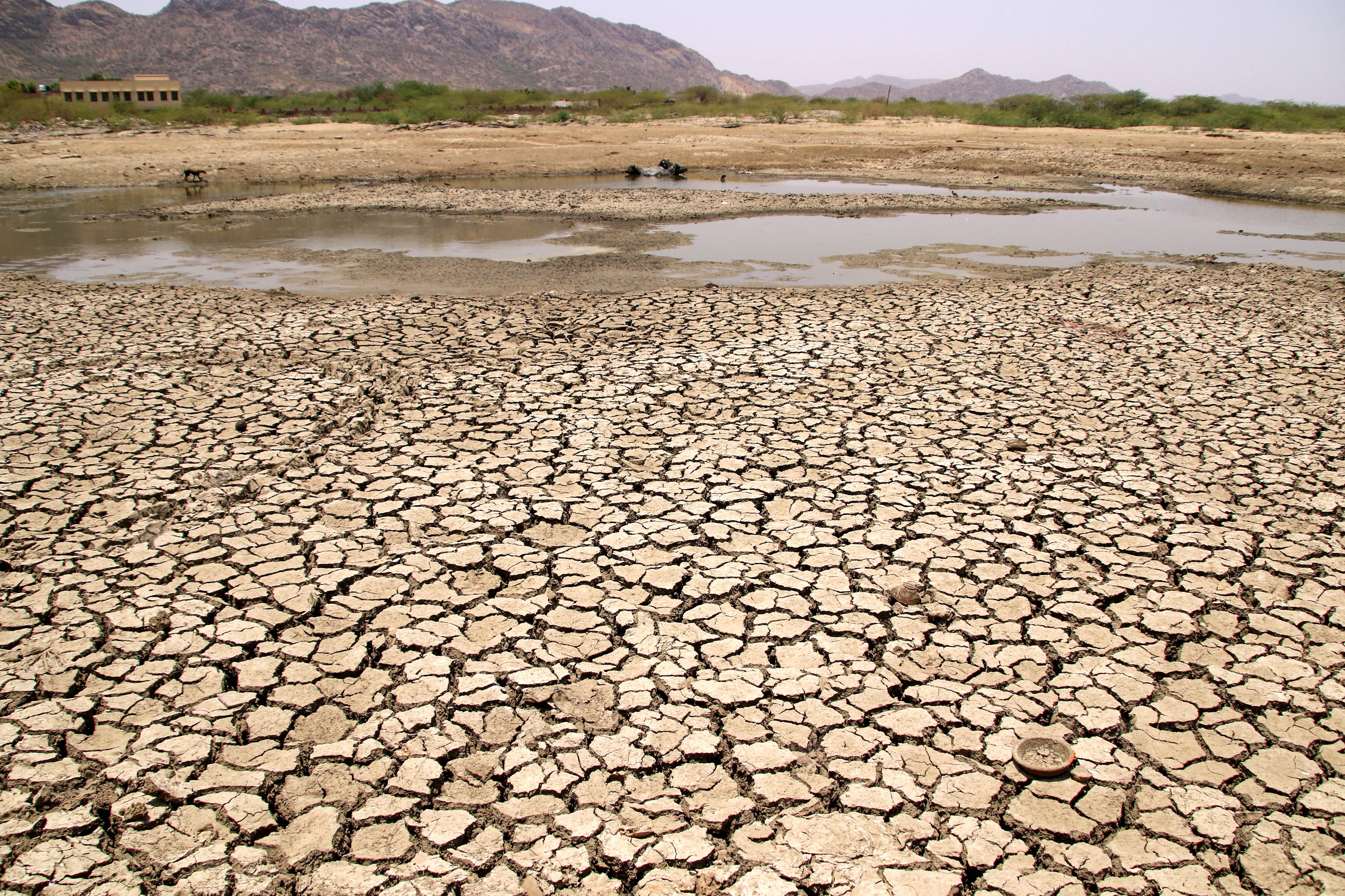 Maharashtra forms task force to address climate change and prevent farmers’ suicides - 4