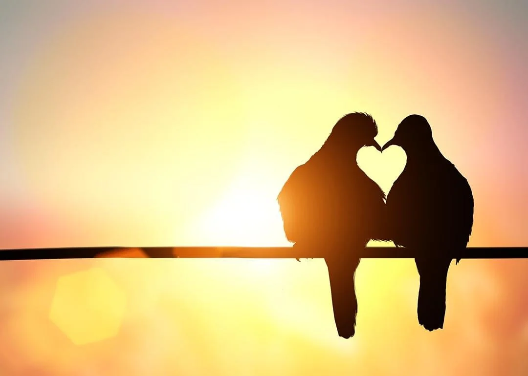 Valentine’s Day | Love in the era of -ships? - 1