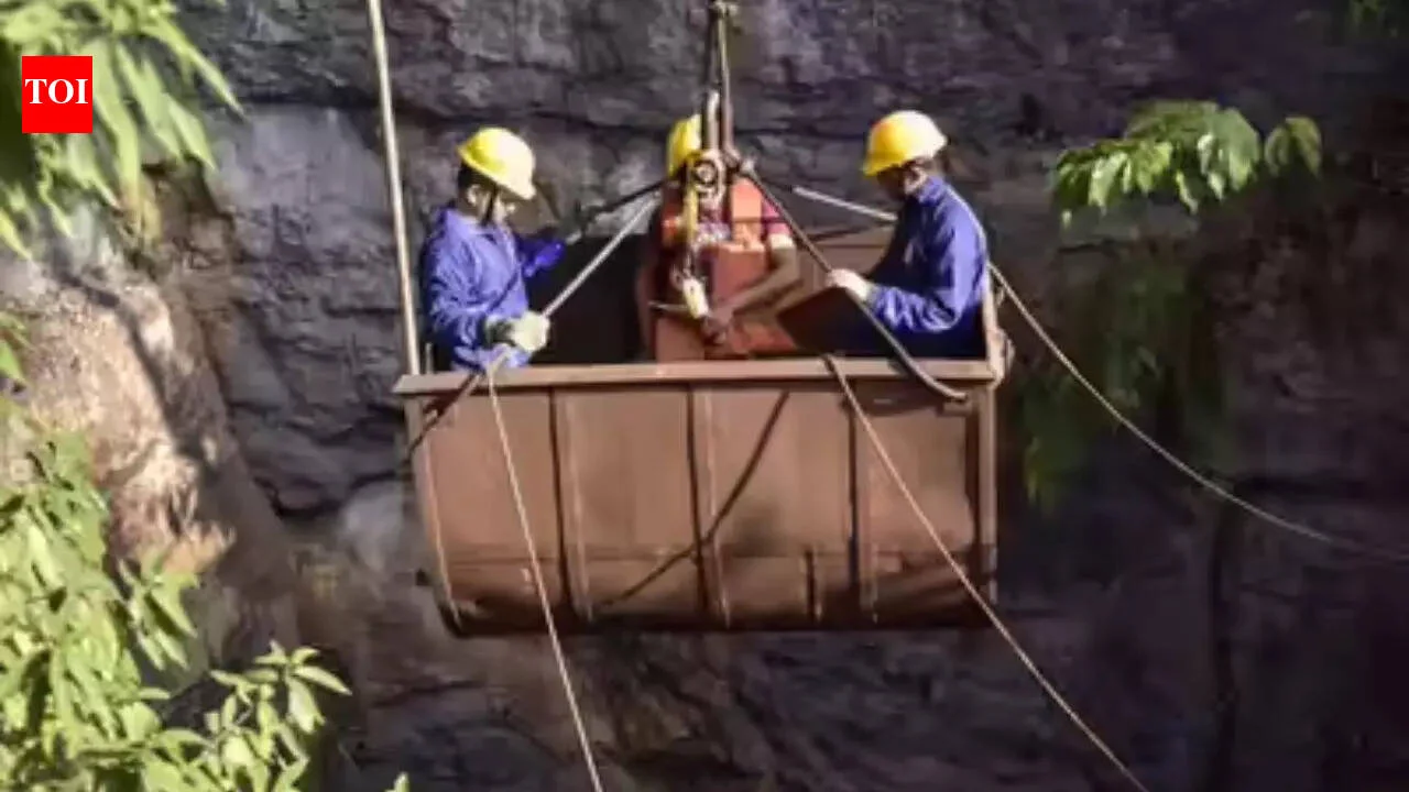 Meghalaya police told to hunt down financiers of illegal coal trade - 4