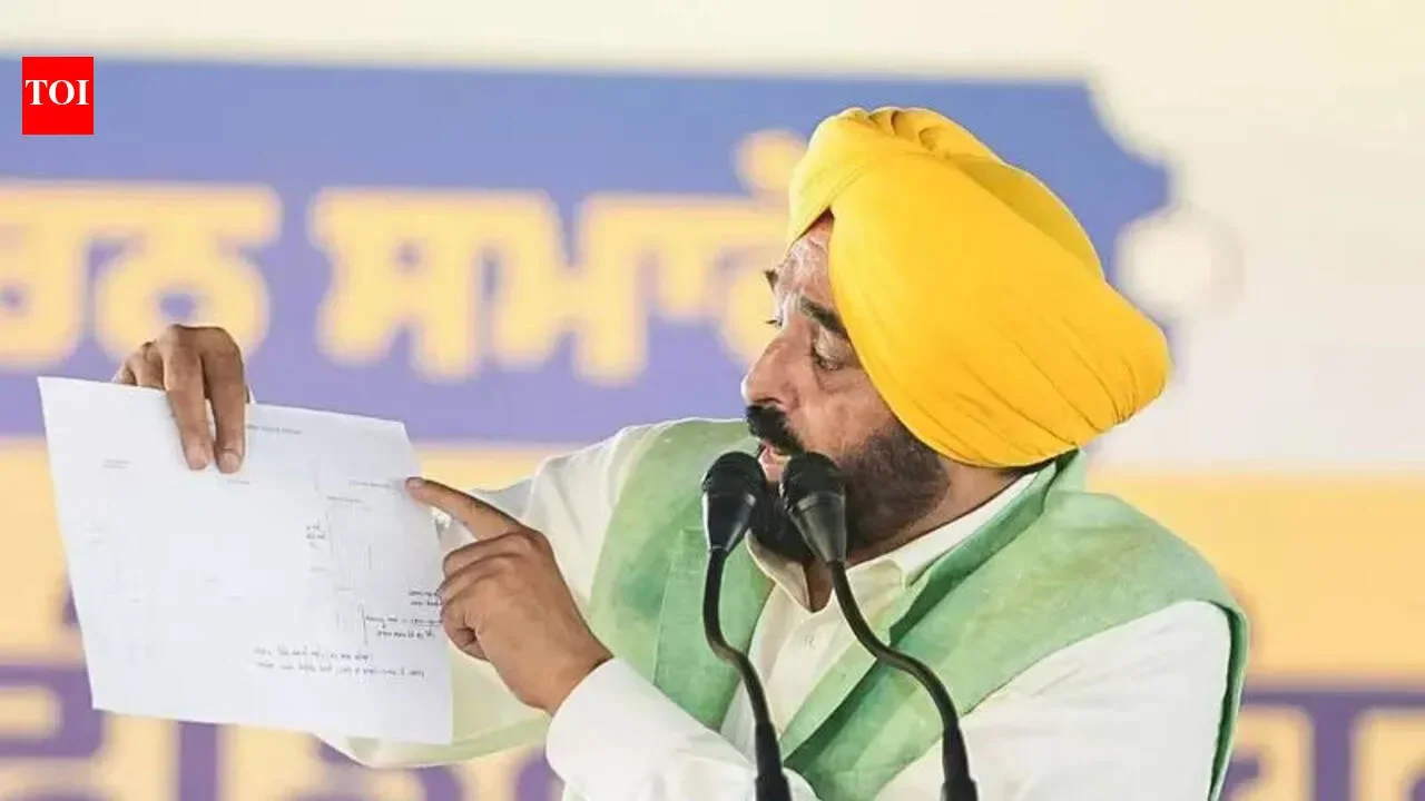 CM Bhagwant Singh Mann inaugurates first phase of reconstruction of Ferozepur Feeder Canal - 1