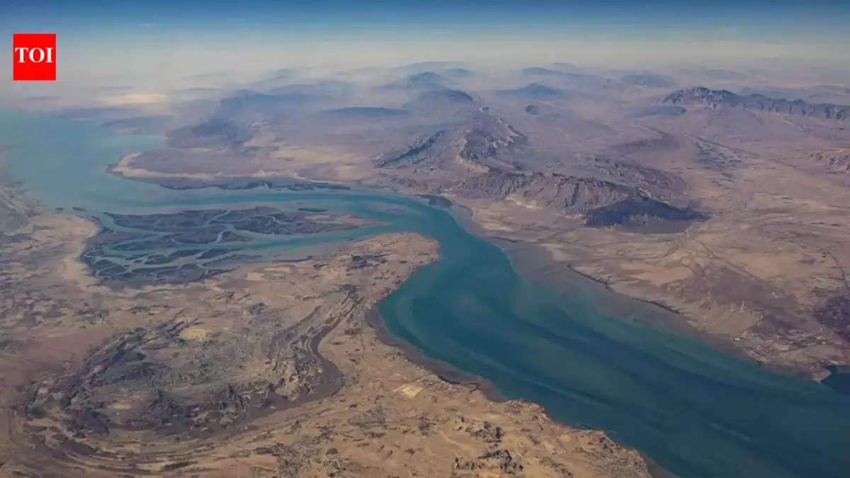 Over 20 Nations Announce Readiness to Help Open Strait of Hormuz - 2