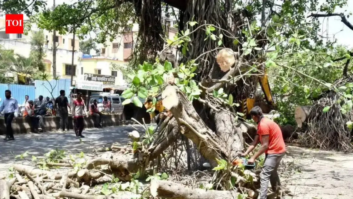 Kumbh Mela: NGT stays tree-felling in Nashik till Apr 28; Mayor defends move - 2