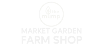 ‘It’s sacred and transformative’: Somerset holds Saxon-inspired festival to embrace ‘month of mud’ - 4