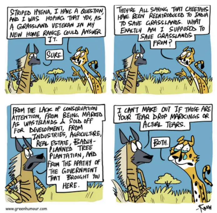 World in pictures, March 11, 2026 - 1