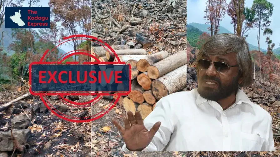 LPG shortage raises fears of illegal tree felling; Minister Eshwar Khandre directs officials to remain vigilant in forest areas - 2